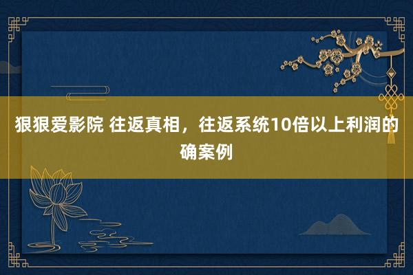 狠狠爱影院 往返真相，往返系统10倍以上利润的确案例