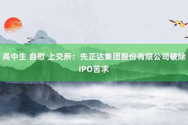 高中生 自慰 上交所：先正达集团股份有限公司破除IPO苦求