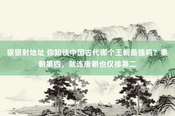 狠狠射地址 你知谈中国古代哪个王朝最强吗？秦朝第四，就连唐朝也仅排第二