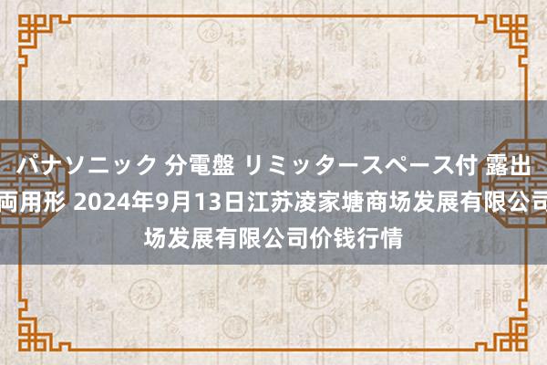 パナソニック 分電盤 リミッタースペース付 露出・半埋込両用形 2024年9月13日江苏凌家塘商场发展有限公司价钱行情