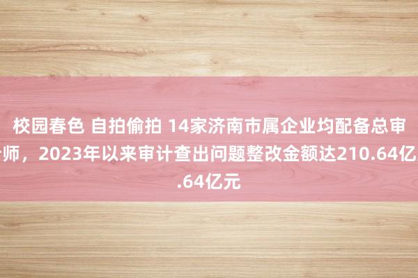 校园春色 自拍偷拍 14家济南市属企业均配备总审计师，2023年以来审计查出问题整改金额达210.64亿元