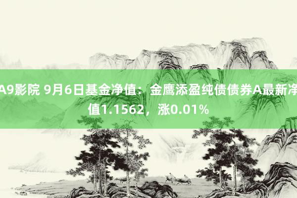 A9影院 9月6日基金净值：金鹰添盈纯债债券A最新净值1.1562，涨0.01%