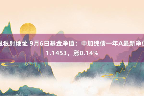 狠狠射地址 9月6日基金净值：中加纯债一年A最新净值1.1453，涨0.14%