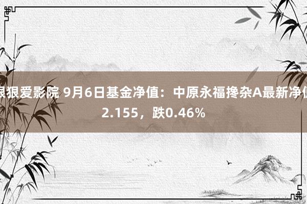 狠狠爱影院 9月6日基金净值：中原永福搀杂A最新净值2.155，跌0.46%