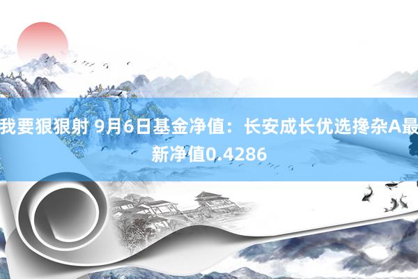 我要狠狠射 9月6日基金净值：长安成长优选搀杂A最新净值0.4286