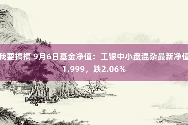 我要搞搞 9月6日基金净值：工银中小盘混杂最新净值1.999，跌2.06%