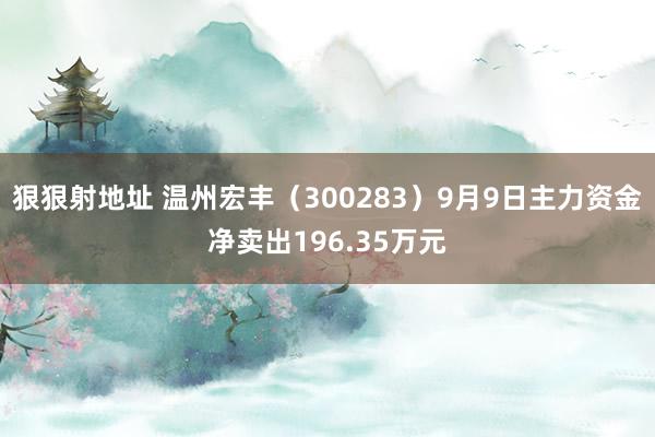 狠狠射地址 温州宏丰（300283）9月9日主力资金净卖出196.35万元