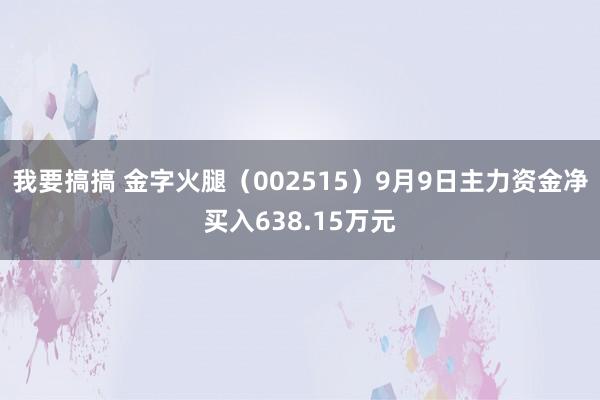 我要搞搞 金字火腿（002515）9月9日主力资金净买入638.15万元