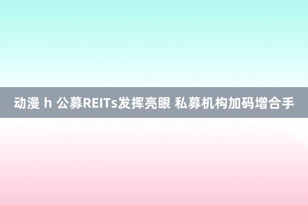 动漫 h 公募REITs发挥亮眼 私募机构加码增合手