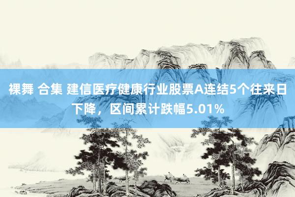 裸舞 合集 建信医疗健康行业股票A连结5个往来日下降，区间累计跌幅5.01%