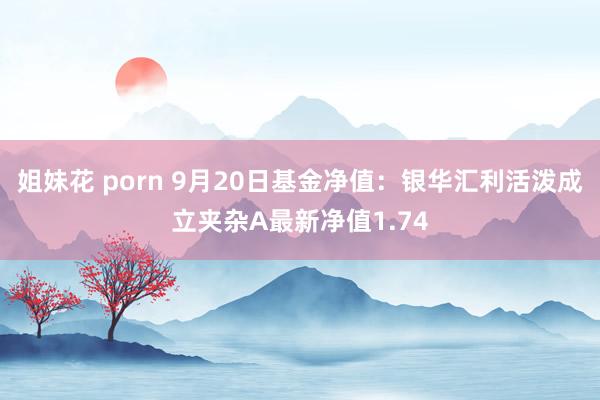 姐妹花 porn 9月20日基金净值：银华汇利活泼成立夹杂A最新净值1.74