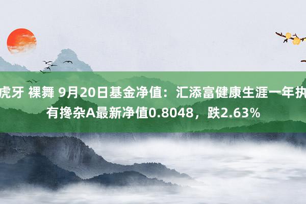 虎牙 裸舞 9月20日基金净值：汇添富健康生涯一年执有搀杂A最新净值0.8048，跌2.63%