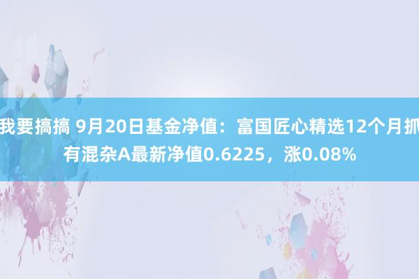 我要搞搞 9月20日基金净值：富国匠心精选12个月抓有混杂A最新净值0.6225，涨0.08%