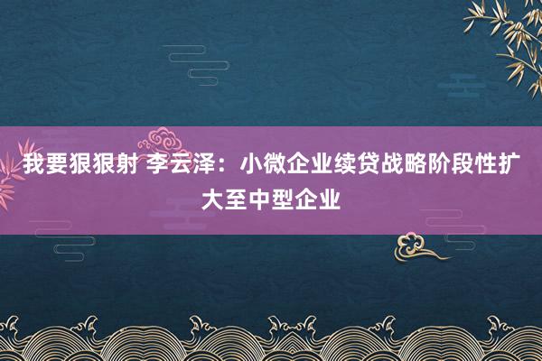 我要狠狠射 李云泽：小微企业续贷战略阶段性扩大至中型企业