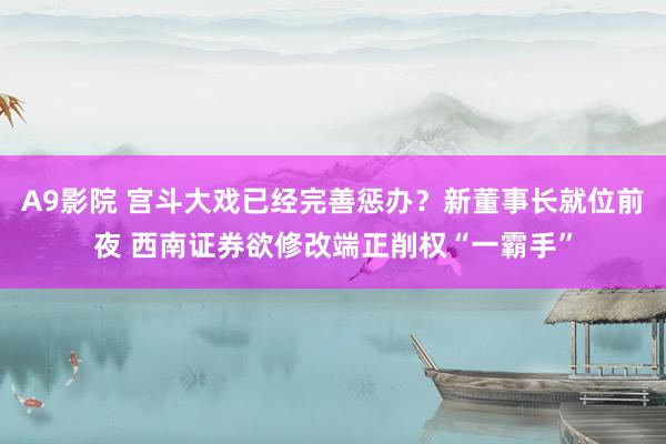 A9影院 宫斗大戏已经完善惩办？新董事长就位前夜 西南证券欲修改端正削权“一霸手”