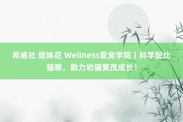 希威社 姐妹花 Wellness爱宠学院丨科学配比猫粮，助力幼猫繁茂成长！