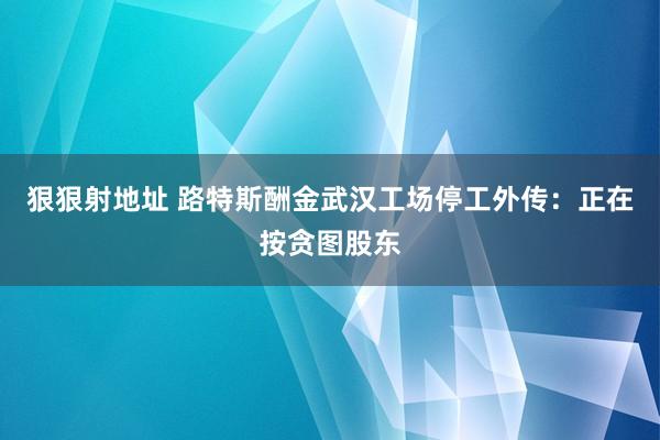 狠狠射地址 路特斯酬金武汉工场停工外传：正在按贪图股东