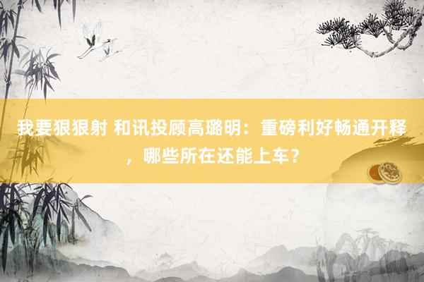 我要狠狠射 和讯投顾高璐明：重磅利好畅通开释，哪些所在还能上车？