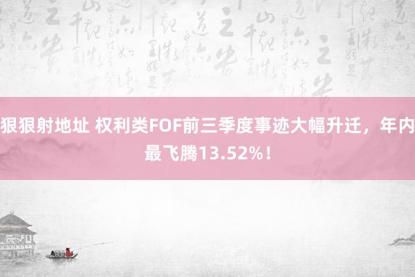 狠狠射地址 权利类FOF前三季度事迹大幅升迁，年内最飞腾13.52%！