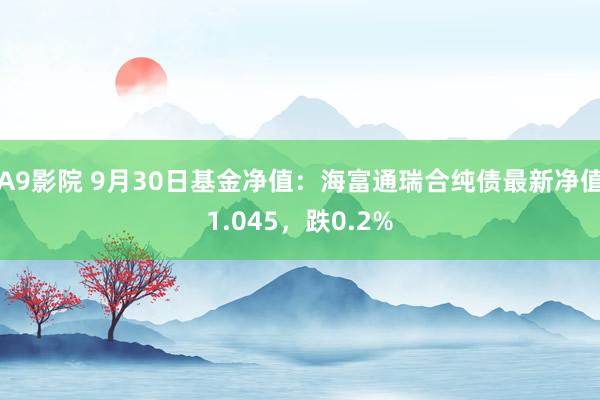 A9影院 9月30日基金净值：海富通瑞合纯债最新净值1.045，跌0.2%