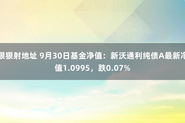 狠狠射地址 9月30日基金净值：新沃通利纯债A最新净值1.0995，跌0.07%