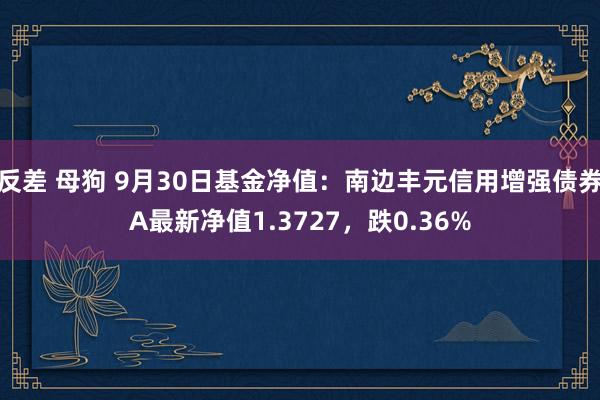 反差 母狗 9月30日基金净值：南边丰元信用增强债券A最新净值1.3727，跌0.36%