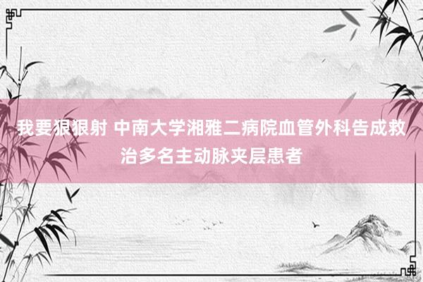 我要狠狠射 中南大学湘雅二病院血管外科告成救治多名主动脉夹层患者