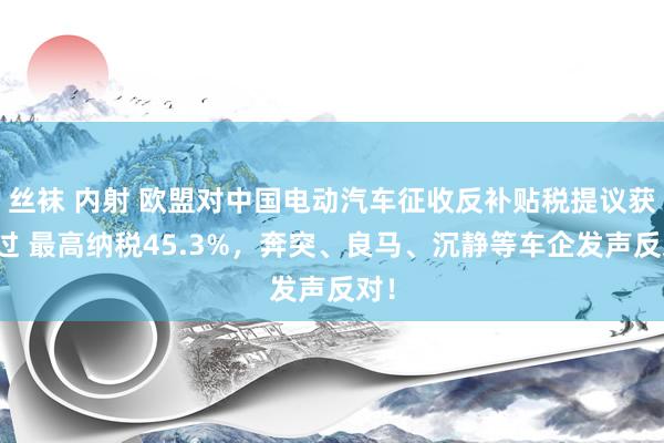 丝袜 内射 欧盟对中国电动汽车征收反补贴税提议获通过 最高纳税45.3%，奔突、良马、沉静等车企发声反对！