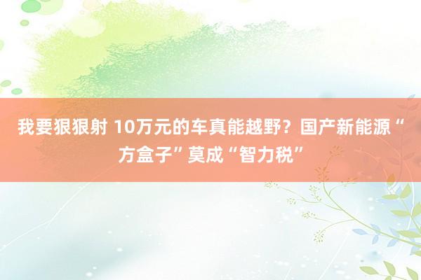 我要狠狠射 10万元的车真能越野？国产新能源“方盒子”莫成“智力税”