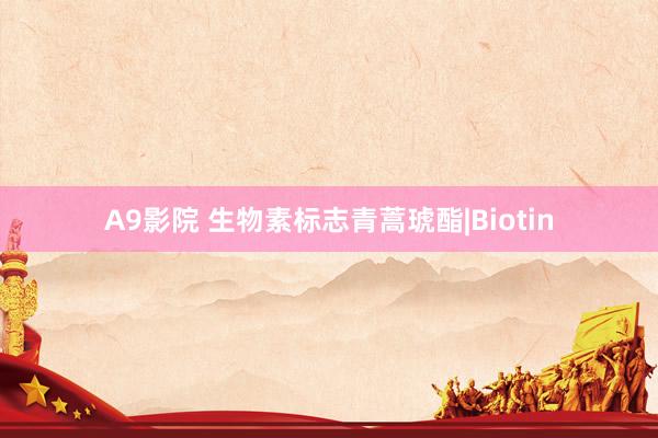 A9影院 生物素标志青蒿琥酯|Biotin