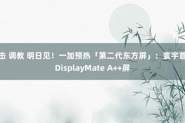 电击 调教 明日见！一加预热「第二代东方屏」：寰宇首块DisplayMate A++屏