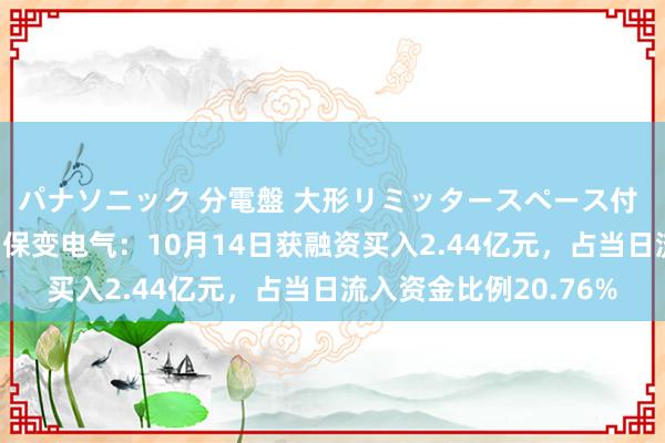 パナソニック 分電盤 大形リミッタースペース付 露出・半埋込両用形 保变电气：10月14日获融资买入2.44亿元，占当日流入资金比例20.76%