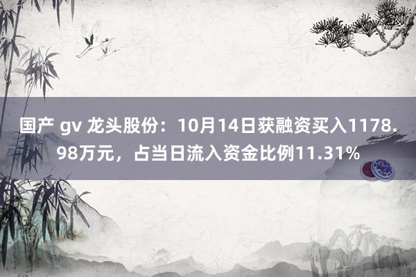 国产 gv 龙头股份：10月14日获融资买入1178.98万元，占当日流入资金比例11.31%