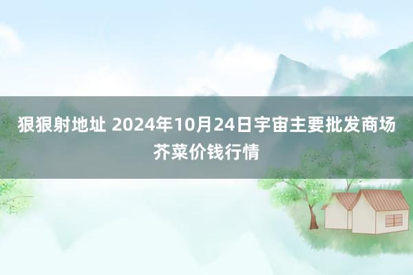 狠狠射地址 2024年10月24日宇宙主要批发商场芥菜价钱行情