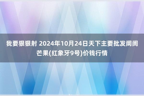 我要狠狠射 2024年10月24日天下主要批发阛阓芒果(红象牙9号)价钱行情