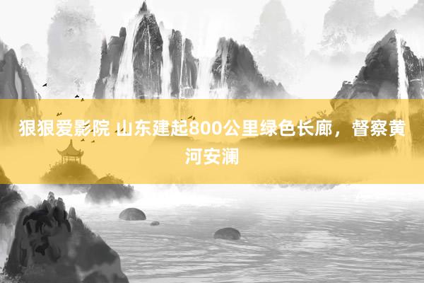 狠狠爱影院 山东建起800公里绿色长廊，督察黄河安澜