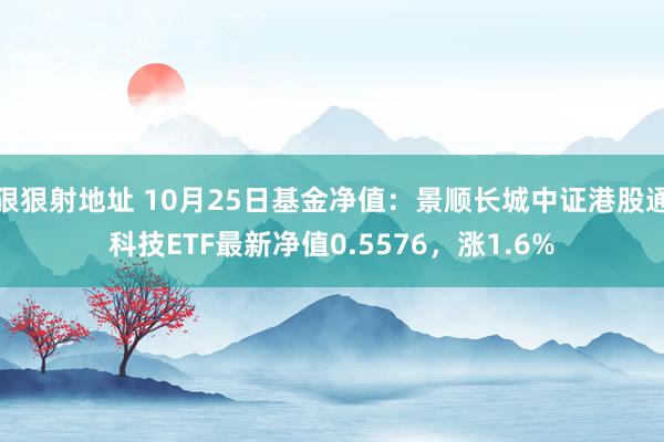 狠狠射地址 10月25日基金净值：景顺长城中证港股通科技ETF最新净值0.5576，涨1.6%