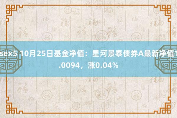 sex5 10月25日基金净值：星河景泰债券A最新净值1.0094，涨0.04%