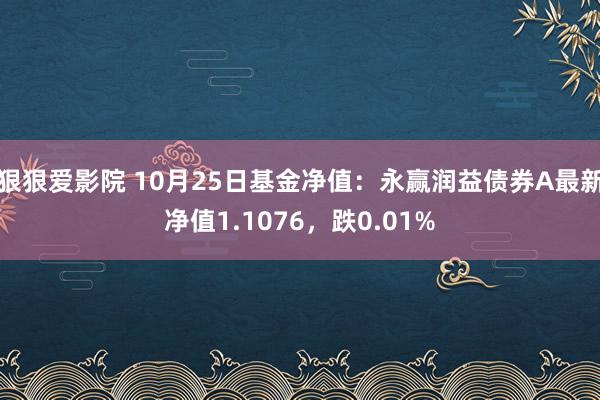 狠狠爱影院 10月25日基金净值：永赢润益债券A最新净值1.1076，跌0.01%