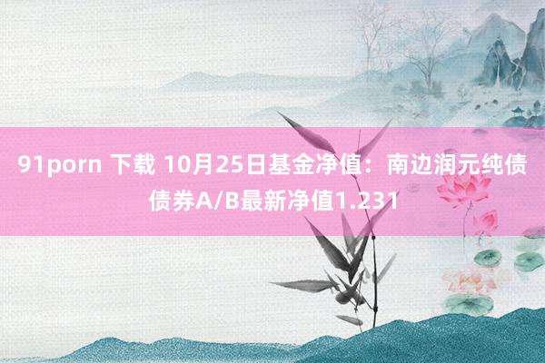 91porn 下载 10月25日基金净值：南边润元纯债债券A/B最新净值1.231