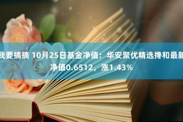 我要搞搞 10月25日基金净值：华安聚优精选搀和最新净值0.6512，涨1.43%