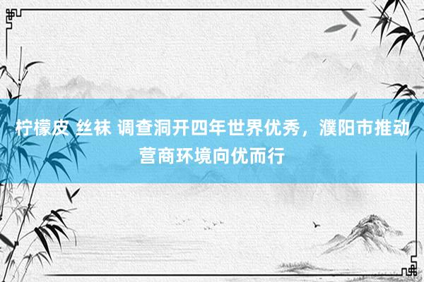 柠檬皮 丝袜 调查洞开四年世界优秀，濮阳市推动营商环境向优而行