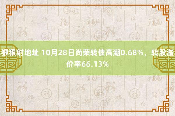 狠狠射地址 10月28日尚荣转债高潮0.68%，转股溢价率66.13%