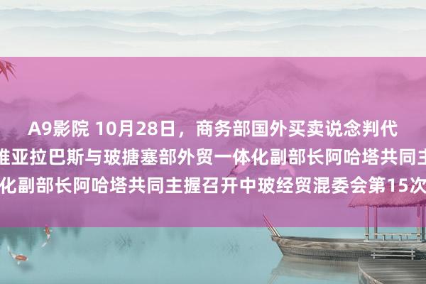 A9影院 10月28日，商务部国外买卖说念判代表兼副部长王受文在玻利维亚拉巴斯与玻搪塞部外贸一体化副部长阿哈塔共同主握召开中玻经贸混委会第15次会议