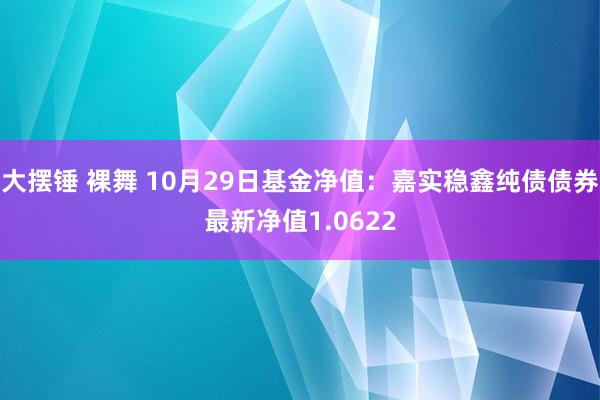 大摆锤 裸舞 10月29日基金净值：嘉实稳鑫纯债债券最新净值1.0622