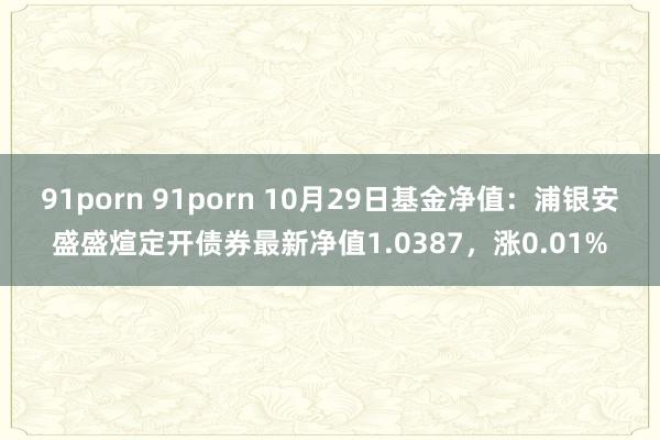 91porn 91porn 10月29日基金净值：浦银安盛盛煊定开债券最新净值1.0387，涨0.01%