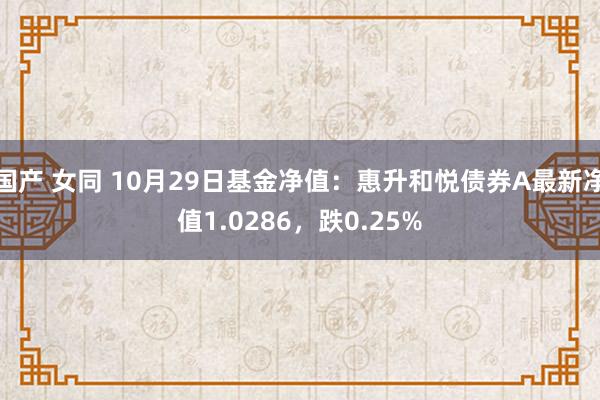 国产 女同 10月29日基金净值：惠升和悦债券A最新净值1.0286，跌0.25%