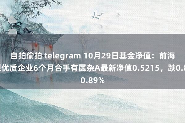 自拍偷拍 telegram 10月29日基金净值：前海开源优质企业6个月合手有羼杂A最新净值0.5215，跌0.89%