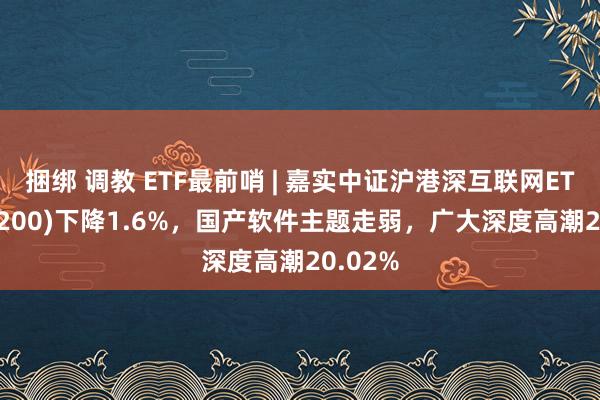 捆绑 调教 ETF最前哨 | 嘉实中证沪港深互联网ETF(517200)下降1.6%，国产软件主题走弱，广大深度高潮20.02%