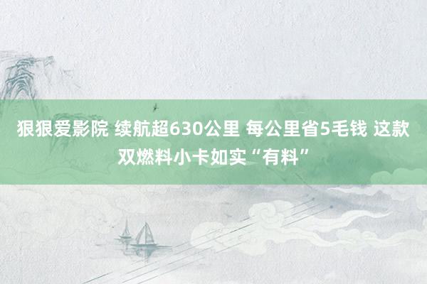 狠狠爱影院 续航超630公里 每公里省5毛钱 这款双燃料小卡如实“有料”